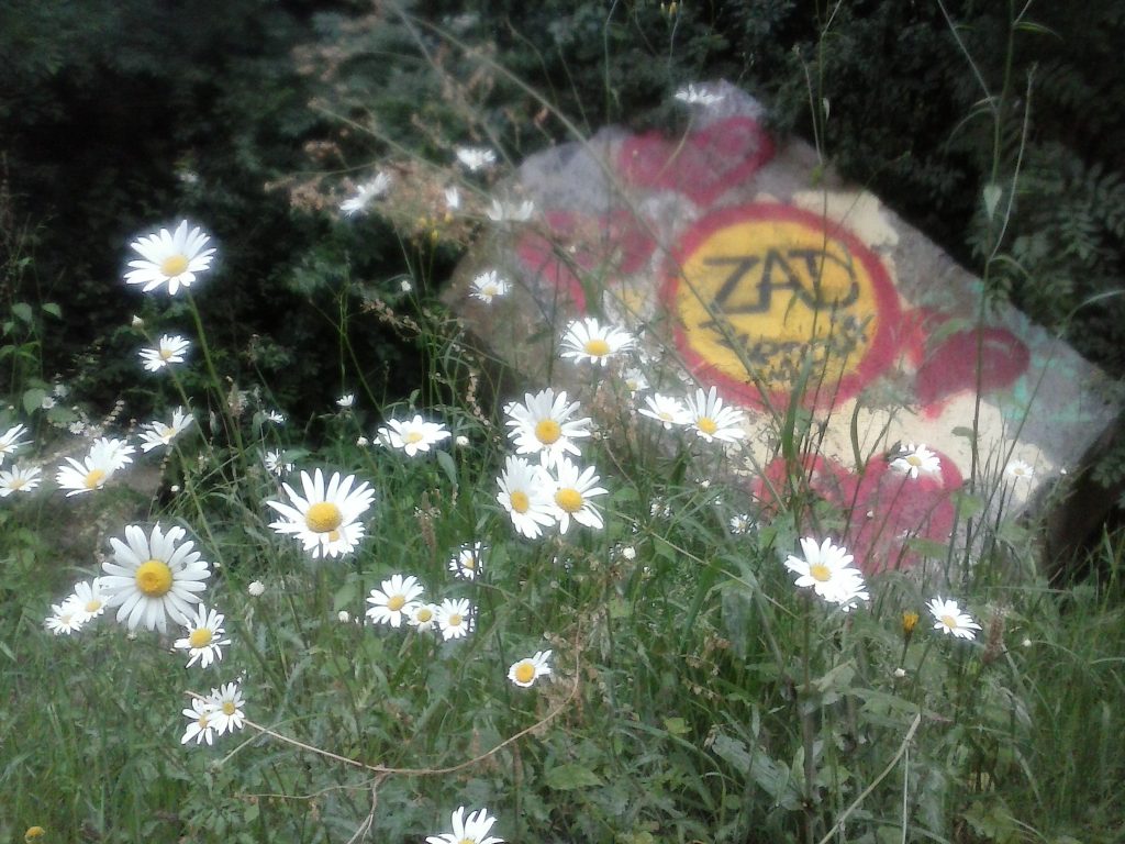 Article : Demain, j’en prends pour cinq ans