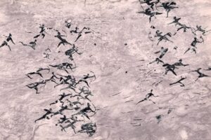 Article : Rencontres coopératives pour une paix durable : des valeurs aux actes citoyens